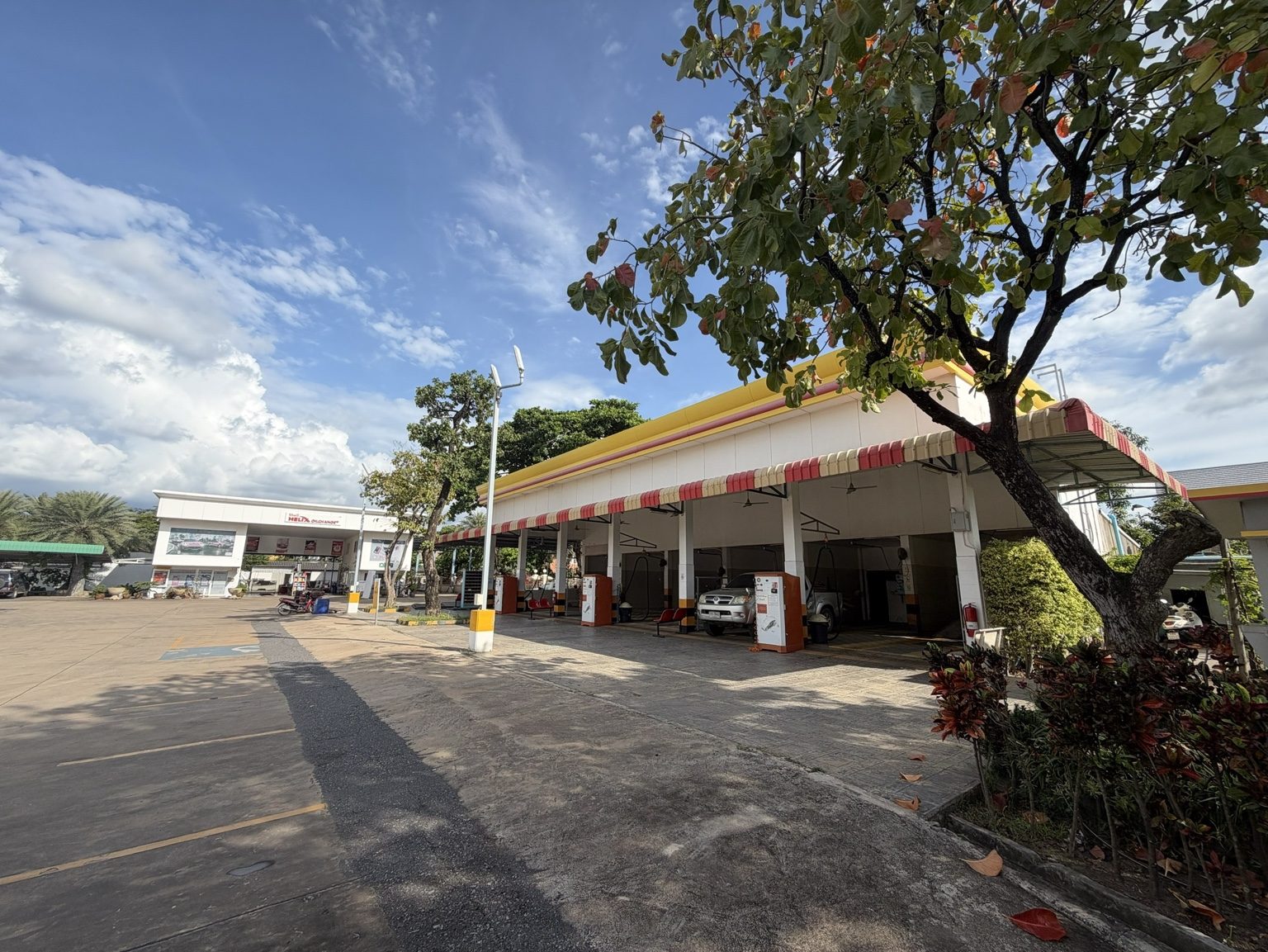 พื้นที่บริการและแนวต้นไม้ / Service area & greenery